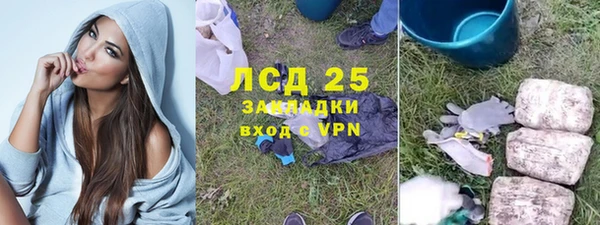 ПСИЛОЦИБИНОВЫЕ ГРИБЫ Белоозёрский