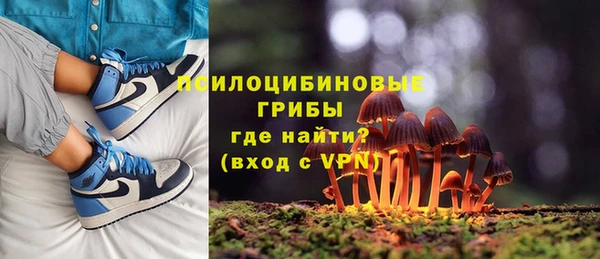 гидропоника Белокуриха