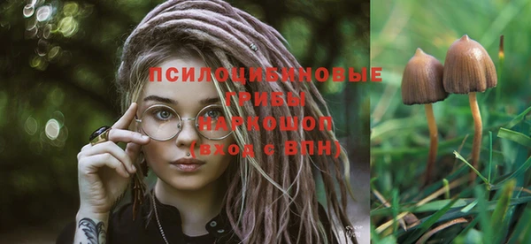 гидропоника Белокуриха