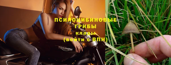 спайс Беломорск
